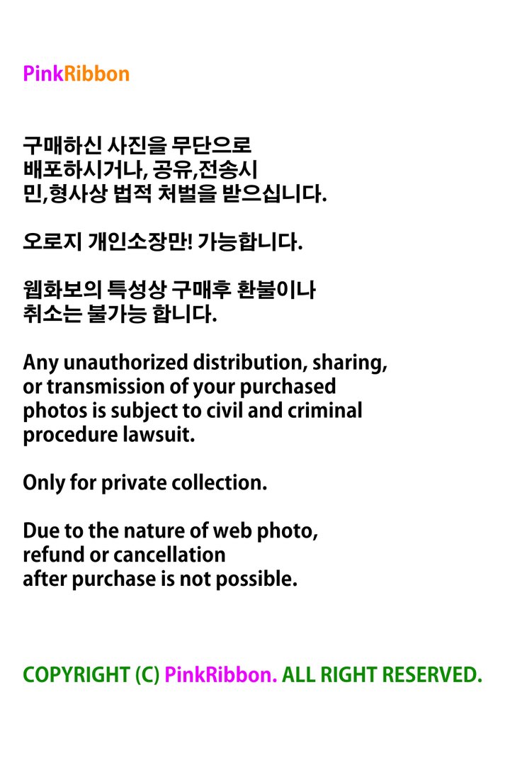 BERRY PRADISE (빛베리님) - [PINK RIBBON] BERRY PRADISE (빛베리님) Lightberry Vol.1 - 빛베리님_베리 파라다이스_Secret SP-美图